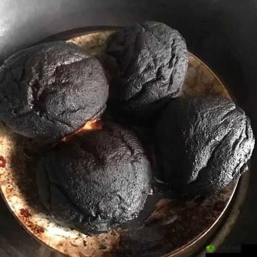 一边做饭一边躁狂会怎么样：后果令人震惊