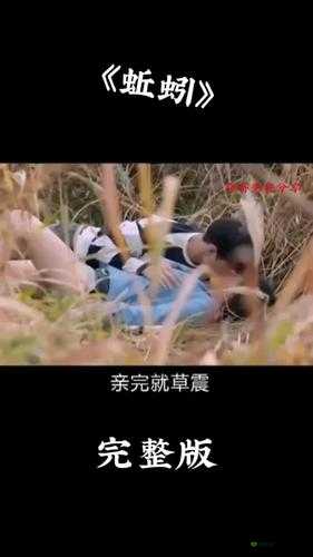 三年片大全在线观看免费观看大全：无尽的视觉盛宴等你来探索